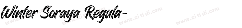 Winter Soraya Regula字体转换